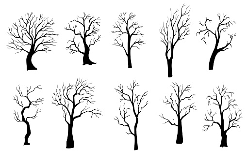 silhouette of tree without leaves. Hand drawn isolated illustrations