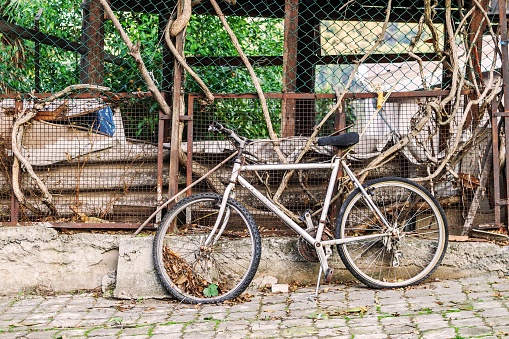 A gray bicycle is abandoned and rusting outside a chain link fence that is overgrown with vines. The bike has a silver frame and black tires and is missing its seat and handlebars.