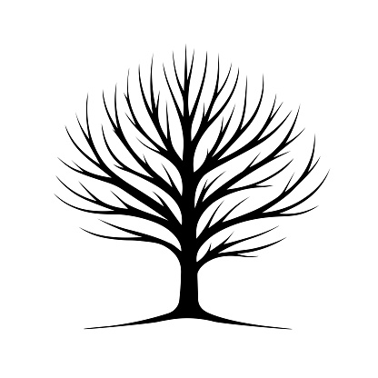 Silhouette of a leafless tree. Vector graphic with a black outline isolated on white background. Nature and environment concept for design and print. Flat lay composition