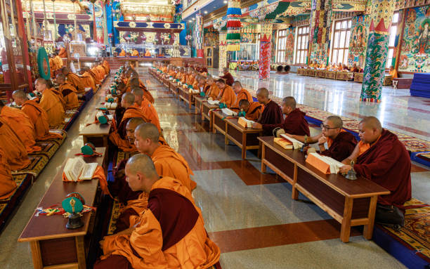 traditional buddhist praying at namdroling monastery golden temple. padmasambhava buddhist vihara also known by locals as the golden temple in karnataka, india. - golden temple - fotografias e filmes do acervo