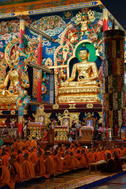 traditional buddhist praying at namdroling monastery golden temple. padmasambhava buddhist vihara also known by locals as the golden temple in karnataka, india. - padmasambhava imagens e fotografias de stock