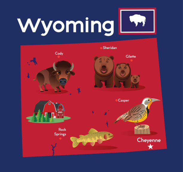 ilustrações de stock, clip art, desenhos animados e ícones de wyoming map - wyoming flag american bison poster