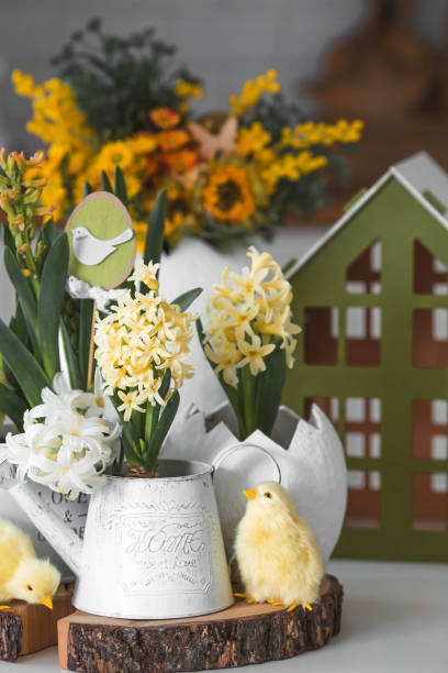 istock Happy Easter. Spring yellow hyacinth flowers in an egg-shaped vase, chicken chicks on a white table. In the background is a white Scandinavian-style kitchen. Easter decor in the house. 2103418642