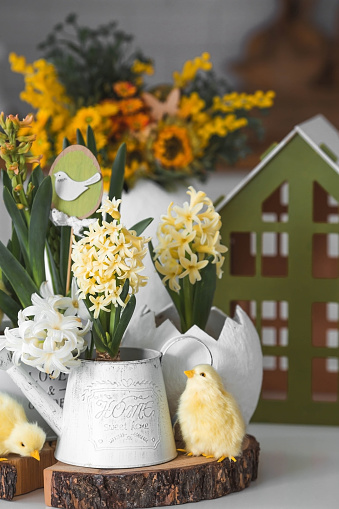 Happy Easter. Spring yellow hyacinth flowers in an egg-shaped vase, chicken chicks on a white table. In the background is a white Scandinavian-style kitchen. Easter decor in the house.