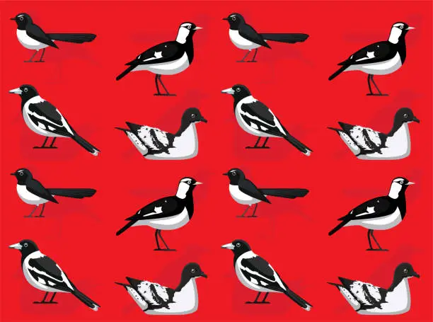 Vector illustration of Bird Wagtail Magpie Lark Petrel Black and White Cute Seamless Wallpaper Background