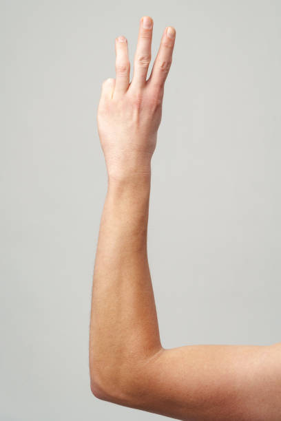 Male hand showing three fingers on gray background close up
