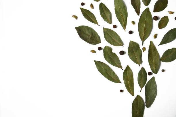 Bay leaves and black pepper peas on a white background