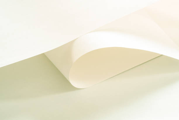 istock A large, long piece of paper. 2103438874