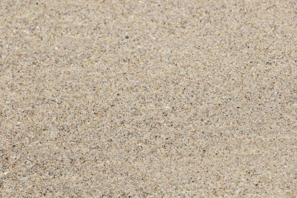 istock Close-up on the texture of beach sand. 2103439404