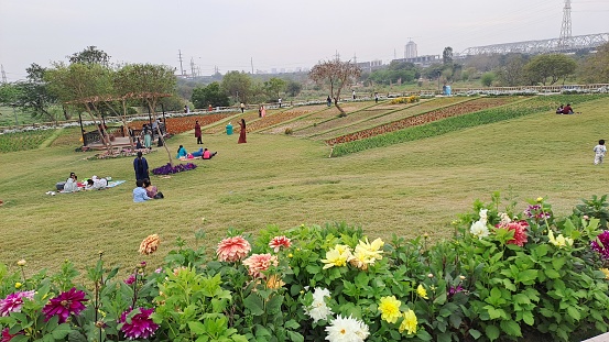 Beautiful view of Baansera Bamboo Park along the Yamuna Riverfront in New Delhi, India