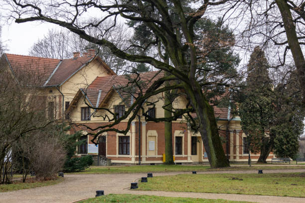 istock Park in Winter, grey day without Snow 2103467627