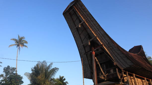 istock ongkonan and traditional houses 2103481820