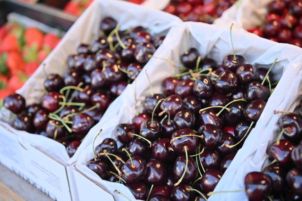 istock Juicy Cherries at the Stall 2103494600