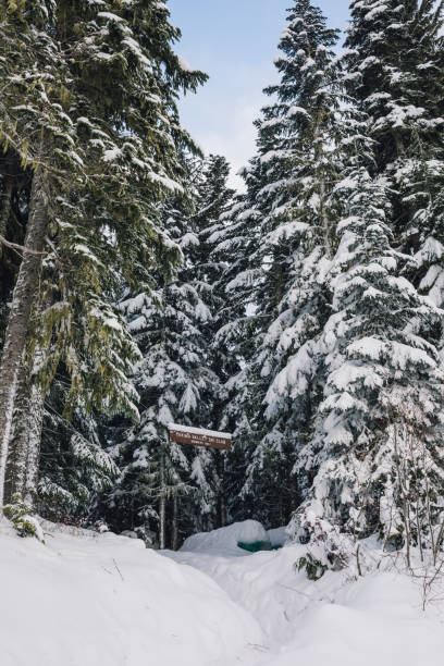 istock Yakima Valley Ski Club 2103495648