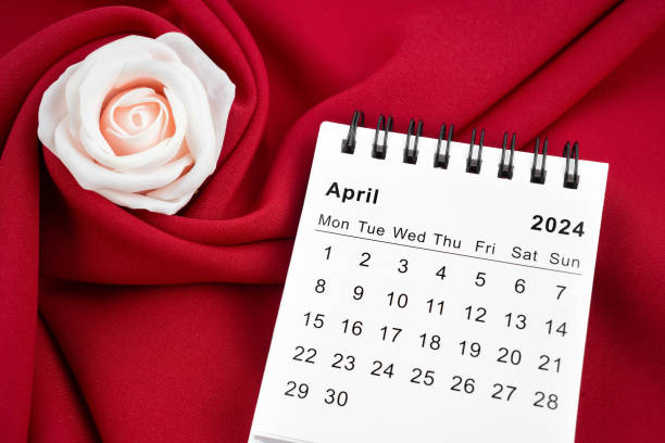 istock April 2024 desk calendar and pink rose on red textile. 2103498288
