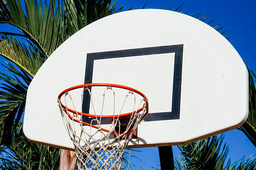 A basketball hoop stands beside a tall palm tree in Tumon Beach in Guam, USA