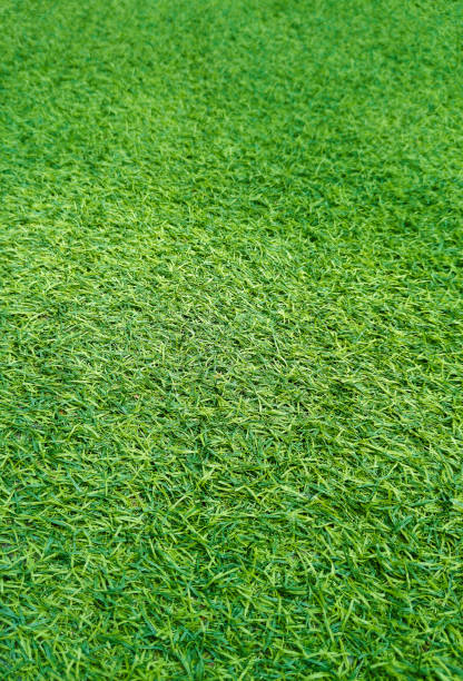 istock Green grass background in top view for graphic design 2103520523