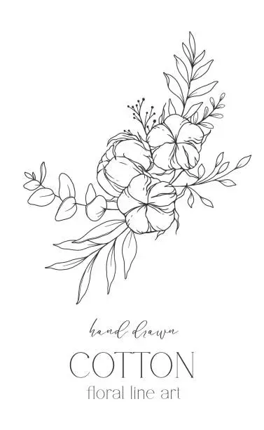 Vector illustration of Hand Drawn Cotton Flowers Line Art Illustration. Cotton Balls isolated on white. Floral Line Art. Cotton Plant Black and white illustration. Fine Line Cotton illustration.