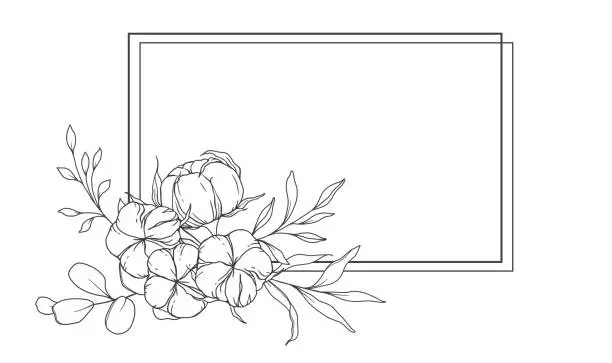 Vector illustration of Hand Drawn Cotton Flowers Line Art Illustration. Cotton Balls isolated on white. Floral Line Art. Cotton Plant Black and white illustration. Fine Line Cotton illustration.