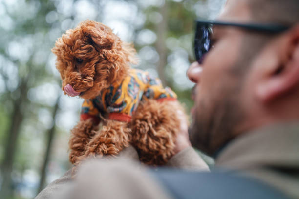 Canin Dog with it's owner.