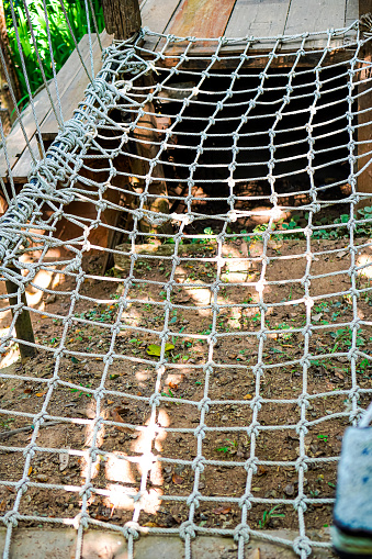 Vertical image of a rope bridge for walking across or climbing, a fun nature adventure tour within a natural food park.