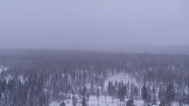 Snow landscape in the town of Gällevari in Sweden