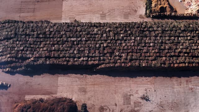 Smoke Above Stack Of Logs In Open Storage Area At Sawmill Industry. aerial topdown shot