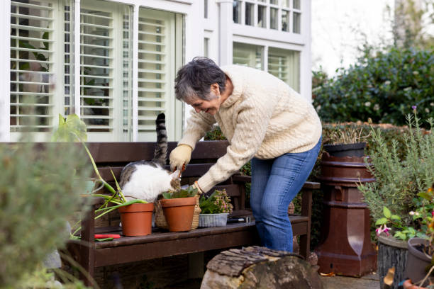 istock Repotting Plants Outdoors 2103677145