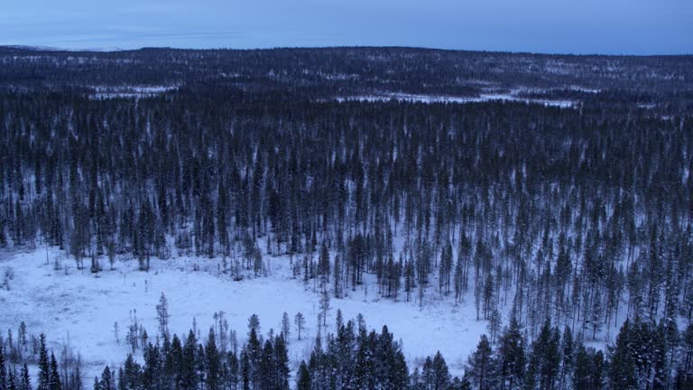 Snow landscape in the town of Gällevari in Sweden