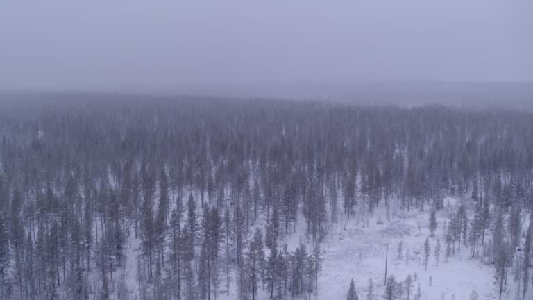 Snow landscape in the town of Gällevari in Sweden