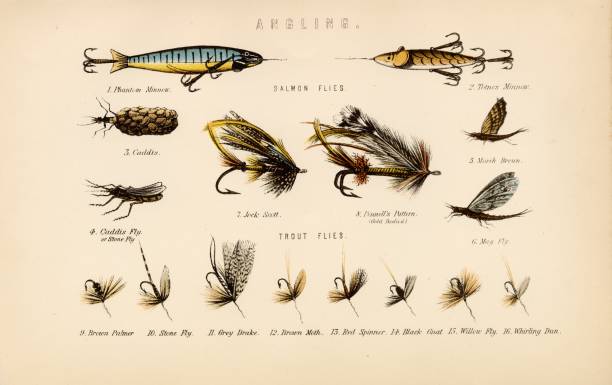 An original Antique Plate scan from the National Encyclopaedia: A Dictionary of Universal Knowledge. Published by William Mackenzie in 1880.