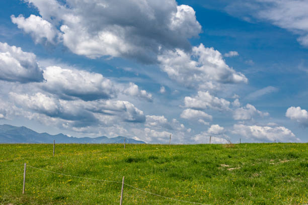 English landscape seen from a hill on overcast day in summer at Dunstable Downs, UK
