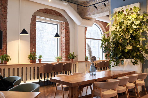 No people wide shot of modern upscale restaurant interior with wooden tables, stylish chairs and green houseplants, copy space