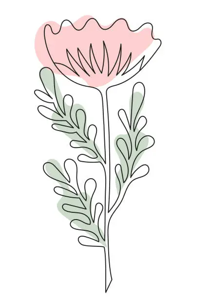 Vector illustration of Flower drawn in the style of a single line. Beautiful flower in a continuous line with colored spots in Boho style.