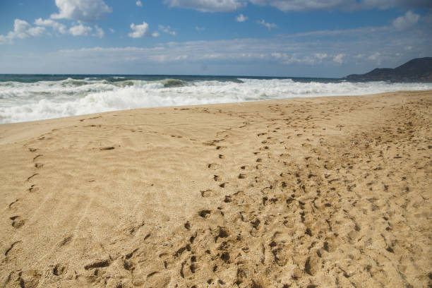Footprints in the sand by the oceans edge, under a cloudy sky, surrounded by the calming sound of water. A serene natural landscape at the shore