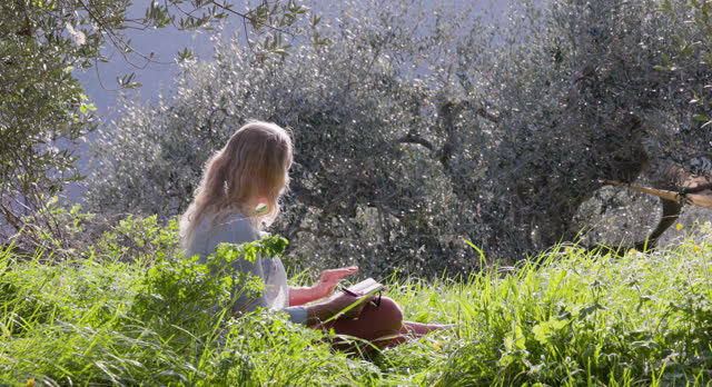 Woman writes in note pad in grasses, olive grove