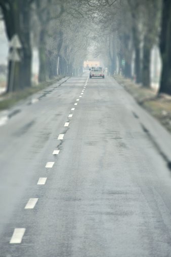 a misty and serene scene of a car driving down a long, straight road lined with bare trees, creating a sense of solitude and tranquility