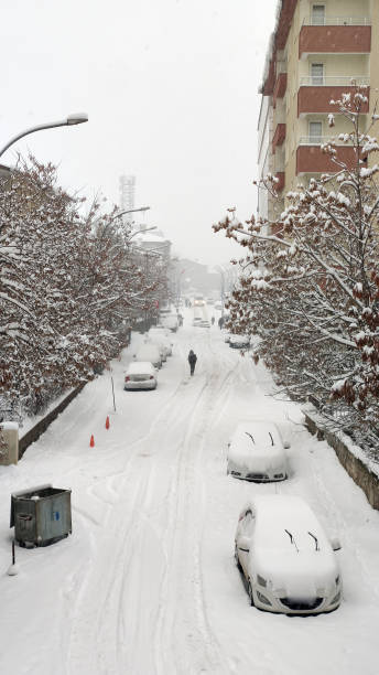 istock snow covered cars on tree lined street 2103916574