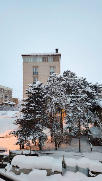 istock Street lamp burning on a snowy winter day. 2103916580
