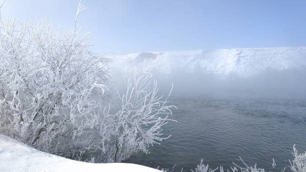 baum mit frost und nebligem fluss im winter. - street fog profile stock-fotos und bilder