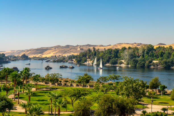 Aerial view of the Nile river with Feluccas (traditional egyptian sailing boats) in Aswan, Egypt