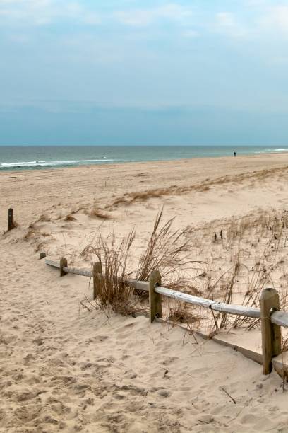 istock Tranquil Route to the Deserted Beach 2103951639