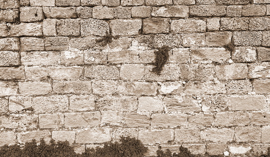 Sepia Stone Wall Texture: Ancient Masonry With Time-Worn Stones And Mossy Accents. The Full Frame Sepia-Toned Image Creates A Historic And Textured Background