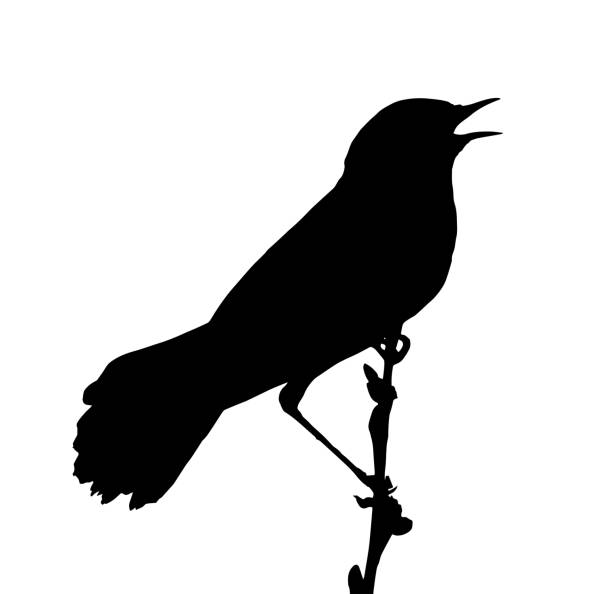 Song bird on the branch. Vector silhouette Song bird on the branch. Vector silhouette bluethroat stock illustrations