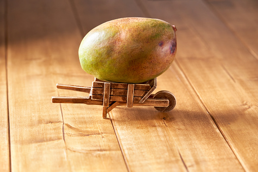 Mango in a wooden antique barrow.