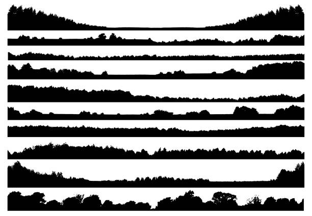 illustrazioni stock, clip art, cartoni animati e icone di tendenza di set di sagome isolate della foresta - cespuglio