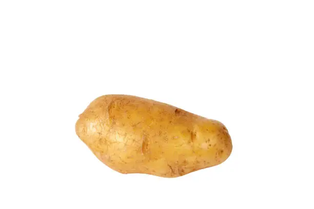 Potato on the isolated white background.
