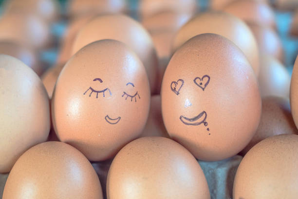 Fried eggs, hen eggs in a white dish, fried on olive oil,