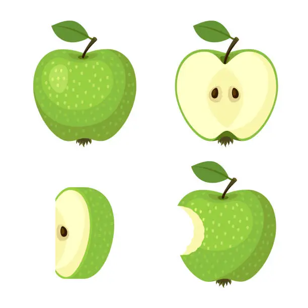 Vector illustration of Set of Green Apples.