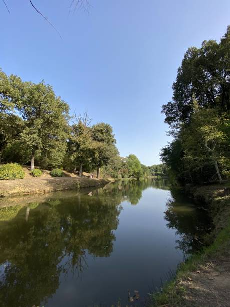 istock a natural forest and lake view 2104029293